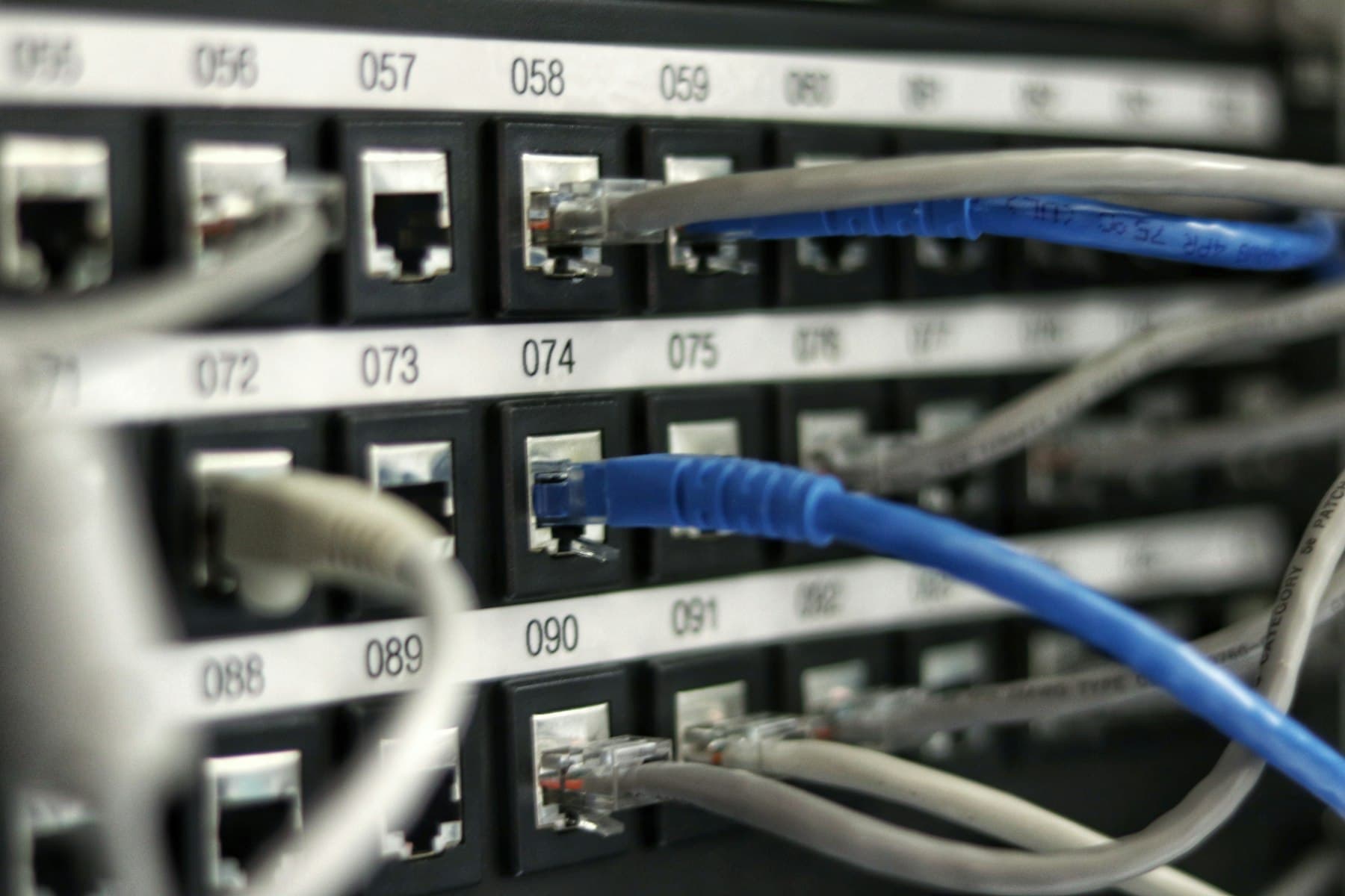 Blue network cables in a labelled patch panel